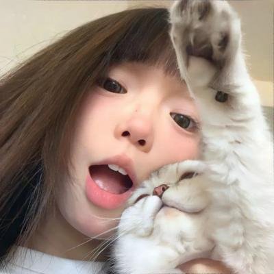 动画热映